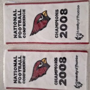 2 NFL Arizona Cardinals 2008 NFC Champions Mini Banner/Pennant